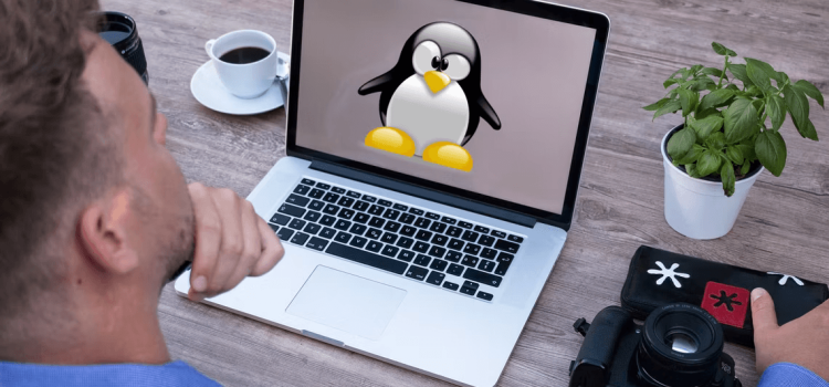 Mastering Linux: Creating and Removing Directories from the Terminal