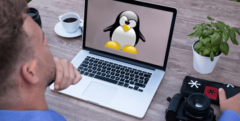 Creating and Removing