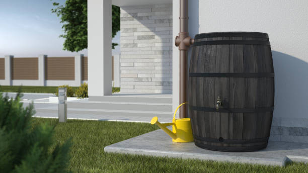 Rainwater Collection System: A How-To Guide