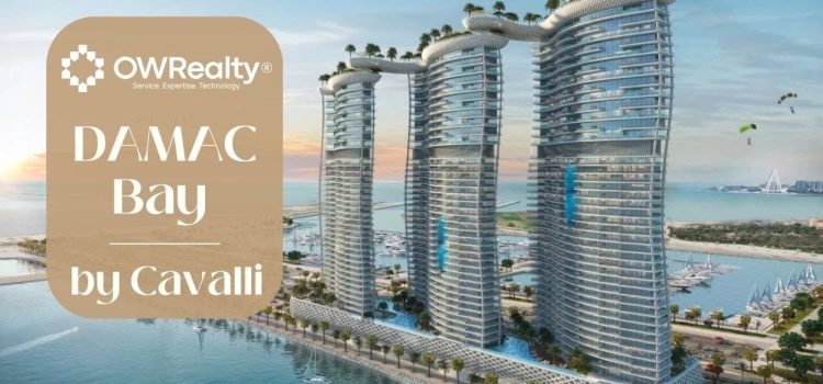 Revolutionizing Real Estate: OWRealty Launches Full-Service App in UAE