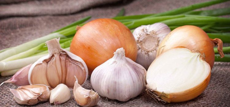 Allium Vegetables: Culinary Wonders with Health Benefits