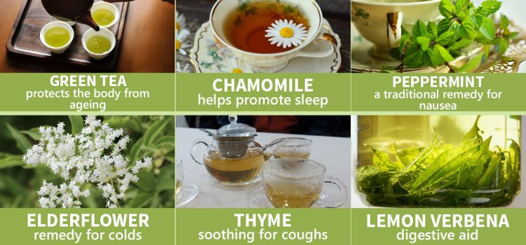 The Perfect Brew: Choosing Tea to Suit Your Health and Wellness Goals