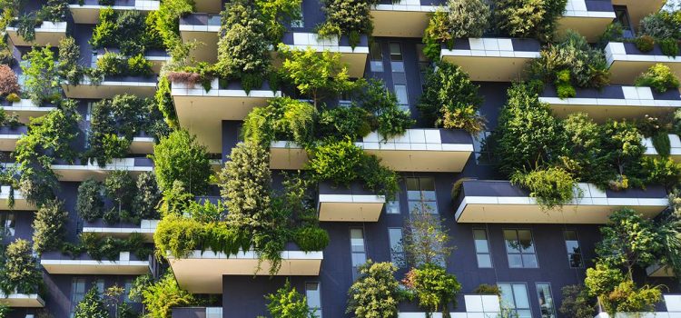 Green Building Norms and Sustainability: Pioneering India’s Real Estate Revolutio