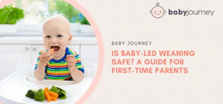 Baby-Led Weaning Success Stories: Parents Share Their Journey to Healthy Eating Habits