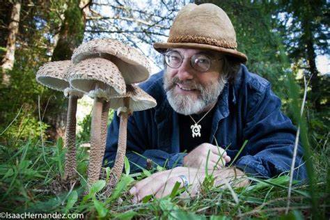 Mushrooms and the Environment: Sustainable Cultivation for a Greener Future