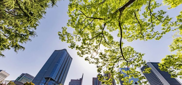 Community-Driven Real Estate: Navigating Sustainability and Responsibility