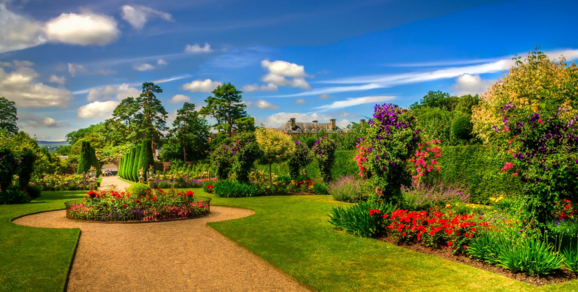The Remarkable Health Benefits of Gardening