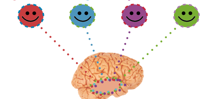 The Science of Happiness: Deciphering the Brain Chemical Code