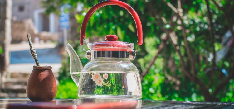 Your Own Tea Garden: A Masterclass in Homegrown Elegance