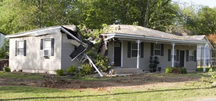 Weathering the Storm: Natural Disasters and Home Insurance Premiums