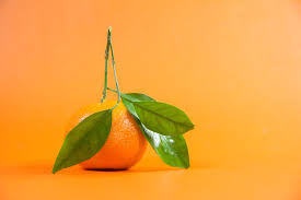 Unlocking Beauty: Vitamin C’s Skin Miracles