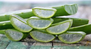 Aloe Awesomeness