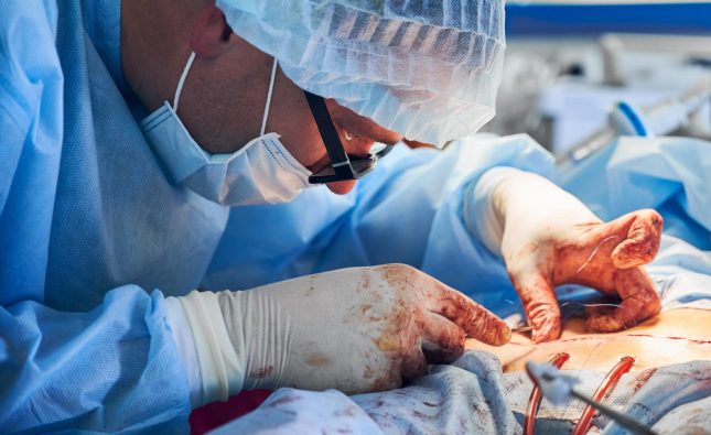 "Fading Hopes: Second Patient's Journey Ends After Unique Pig Heart Transplant"