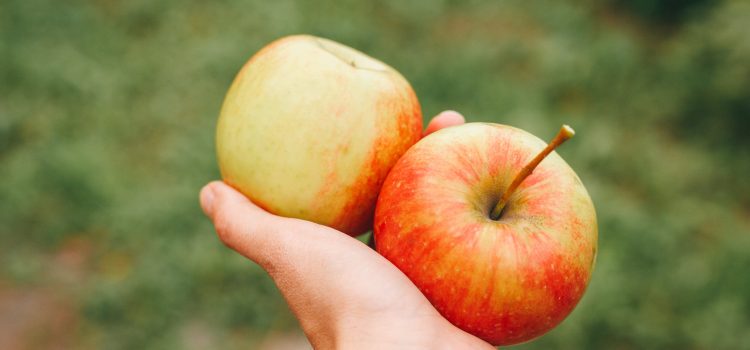 Mastering the Craft of Introducing New Apple Varieties