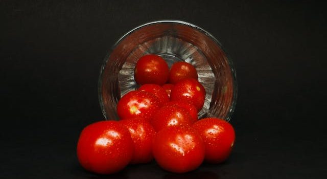 Tomato Tango Mastery Unveiling Tips for Ideal Fresh Tomato