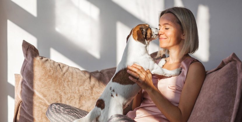 Puppy Love: Understanding Your Dog’s Affectionate Licks