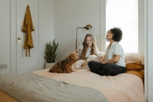  Safely with Pets