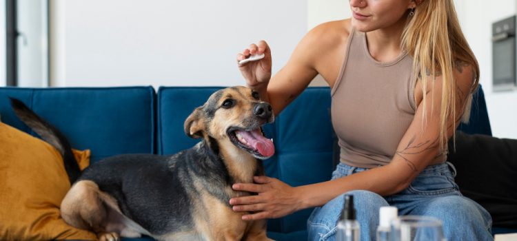 Revolutionary Drug Aims to Extend Your Pet’s Lifespan