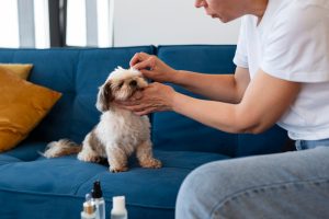 Pet's Lifespan with a Revolutionary Drug