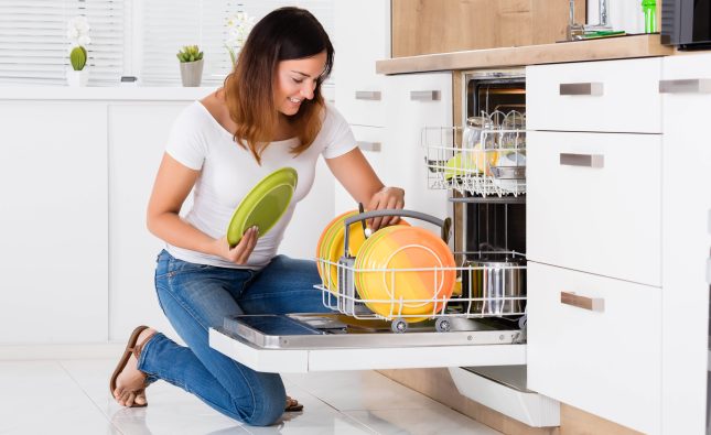 Dishwasher Diaries for Pristine Plates