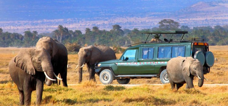 Uncover Nairobi’s Charms Deep Dive into Must-Try Adventures
