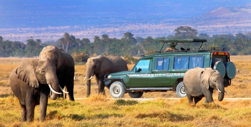 Uncover Nairobi’s Charms Deep Dive into Must-Try Adventures