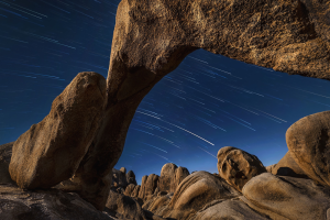  Beneath the Starry Canopy: The Allure of Joshua Tree