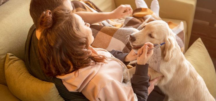 Wild to Home: Unveiling the Most Heartwarming Animal Tales