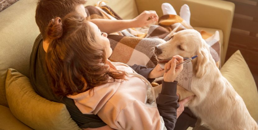Wild to Home: Unveiling the Most Heartwarming Animal Tales