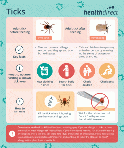 Ticks Can Pose a Serious Threat