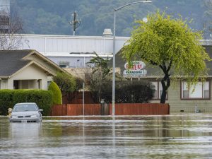 Superior Flood Insurance Shields