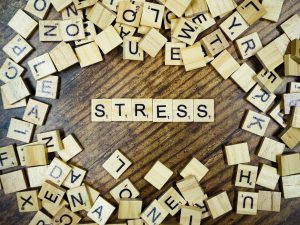Stress Management Techniques for Busy Lives     