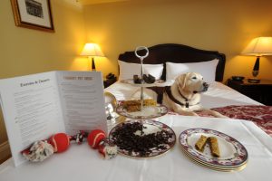 Pet-Friendly-Hotels-in-New-England