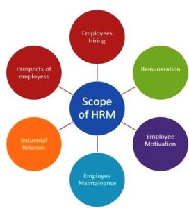 Human Resource Jobs in Education Definition and Scope