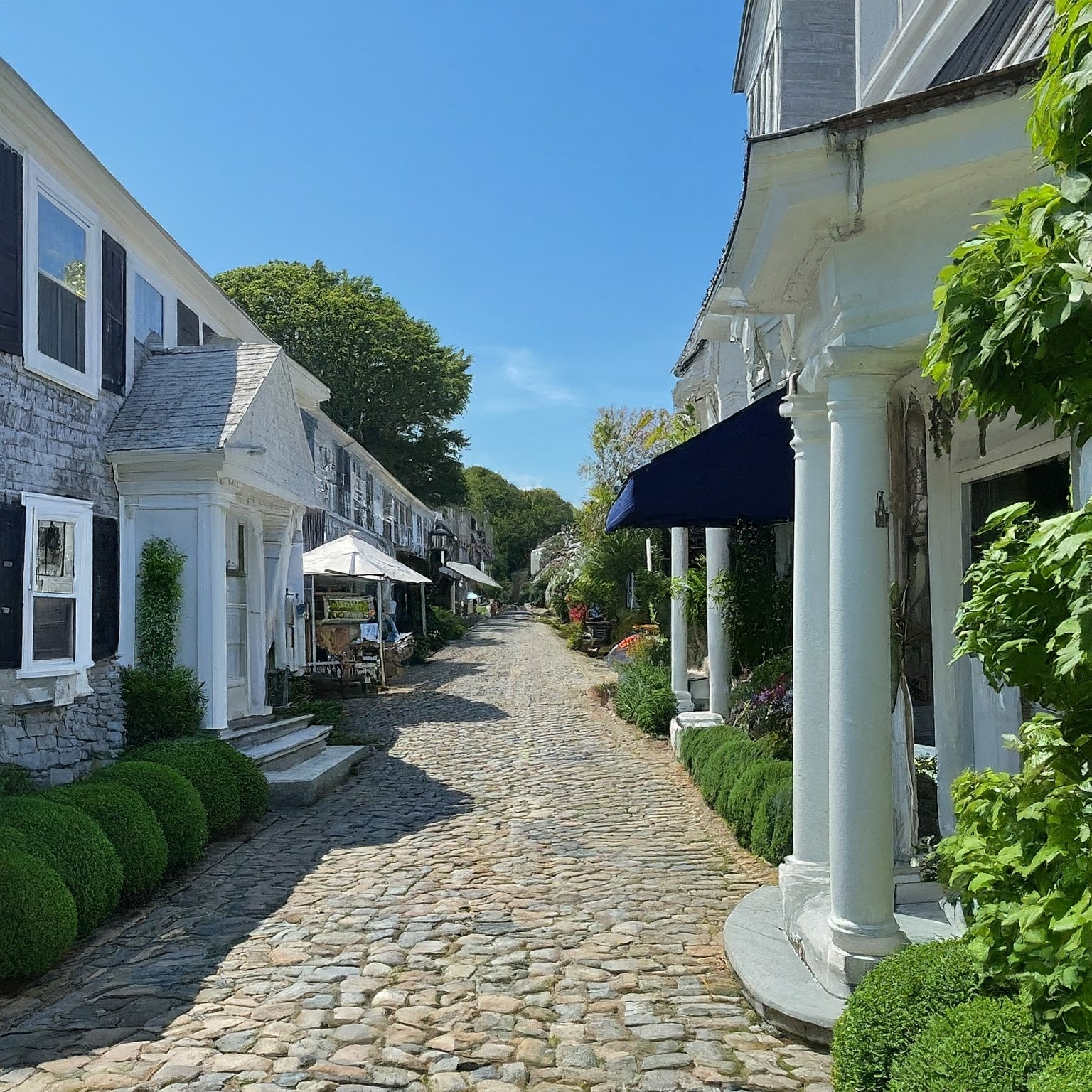 Unleash Your Dream: Luxury Homes in the Hamptons