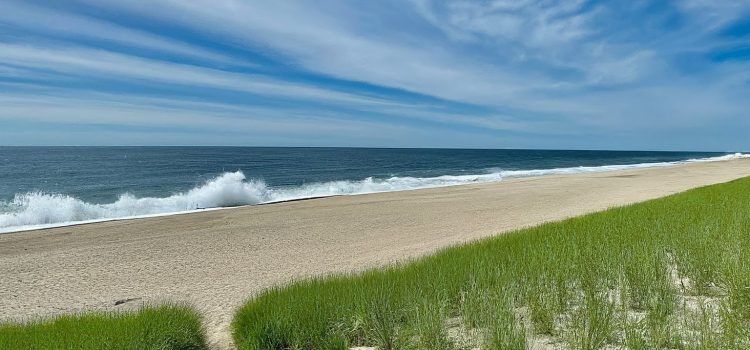 Hamptons Haven: Luxury Living by the Beach - Pressmaverick