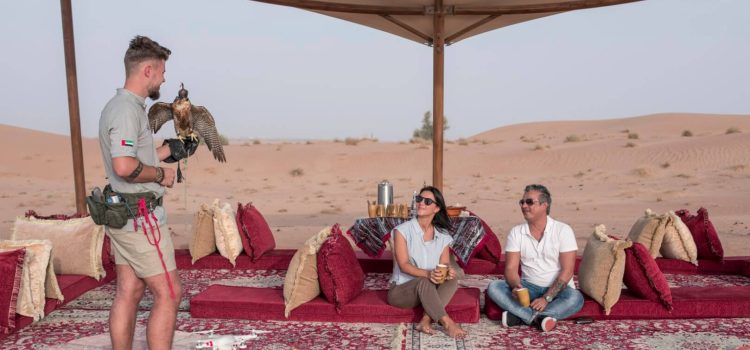 Discover the Thrills: Desert Safari Tour in Dubai