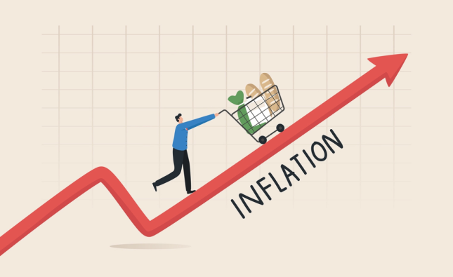 Inflation Insights: Navigating Rising Prices in Today's Economyq