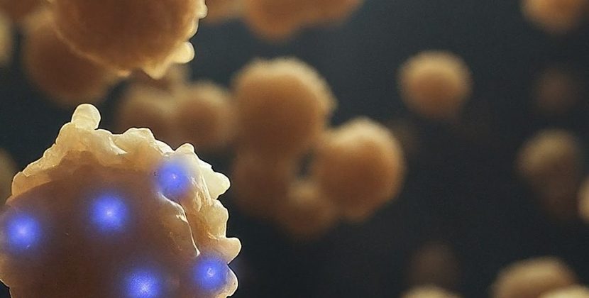 Brains & Bodies in Space: 3 Days, Big Changes for Astronauts