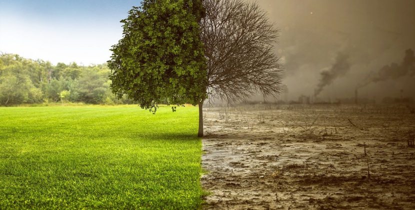 The Impact of Climate Change on Global Agriculture