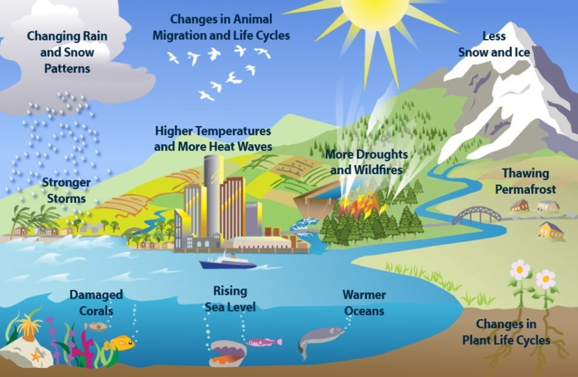 The Role of AI in Climate Change Mitigation