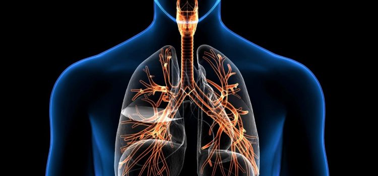 Breakthroughs in Respiratory Disease Treatment