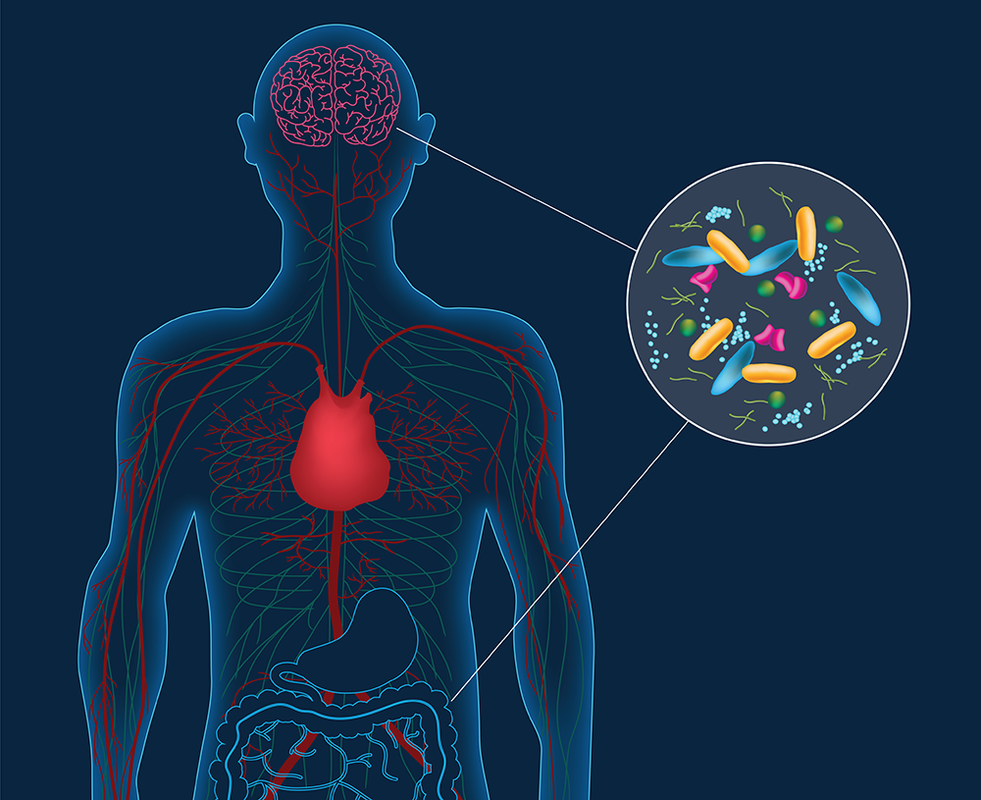 How the Microbiome Influences Overall Health