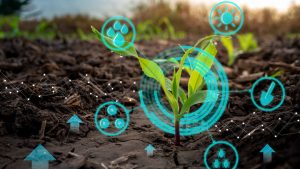 Innovations in AI for Environmental Conservation