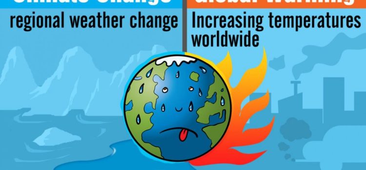 The Impact of Climate Change on Agricultural Production