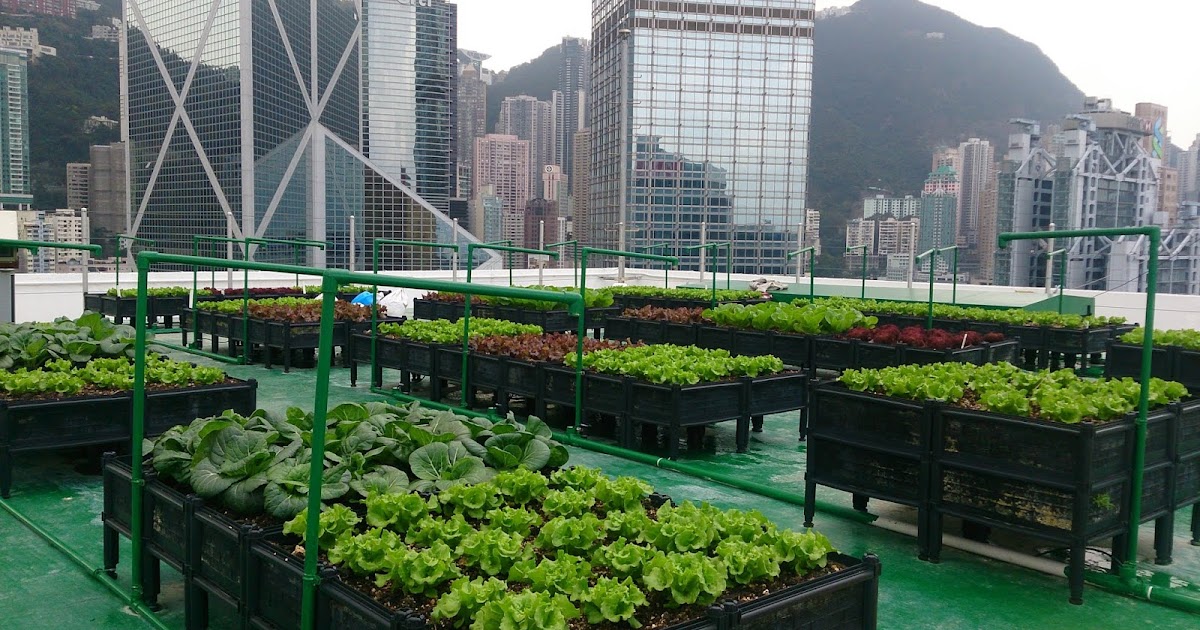 Trends in Urban Farming