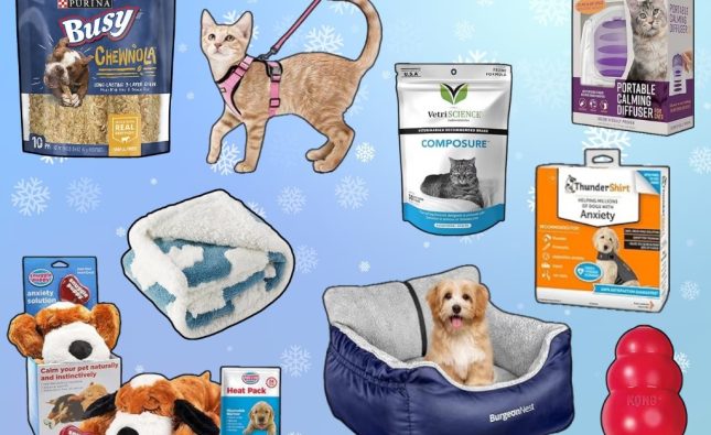 Pet Products That Are Redefining the Market in 2024