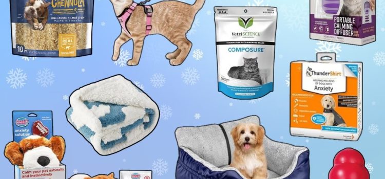 Pet Products That Are Redefining the Market in 2024