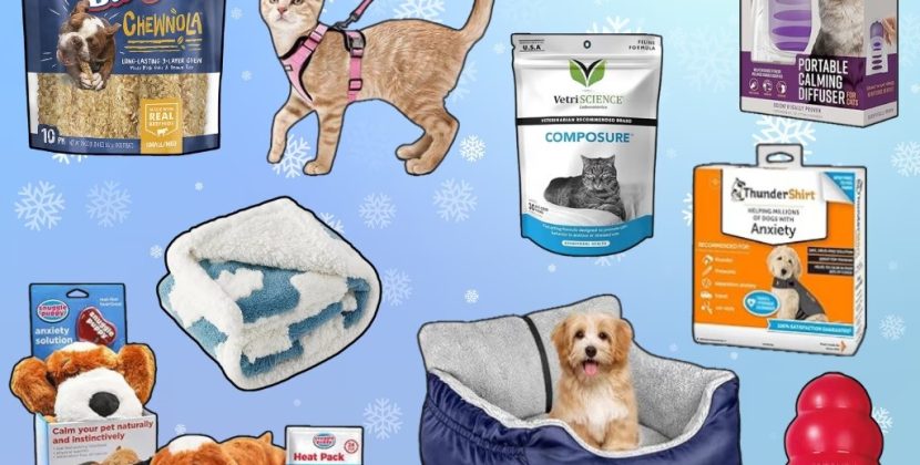 Pet Products That Are Redefining the Market in 2024