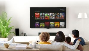 Streaming TV Ad Strategies